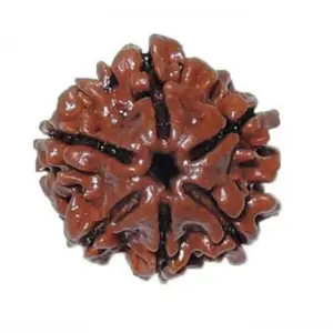 9 mukhi